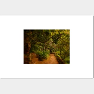 the path to your heart.... Posters and Art